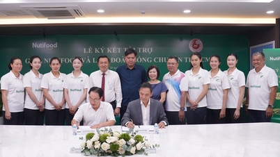 O patrocínio maciço da Nutifood, no valor de 9,3 bilhões de VND, é um grande impulso que levará o vôlei feminino da cidade de Ho Chi Minh de volta ao topo.