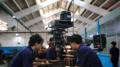 Universiti Teknologi Bandar Raya Ho Chi Minh (HCMUT) mendahului dalam bilangan program bakat STEM yang diluluskan.