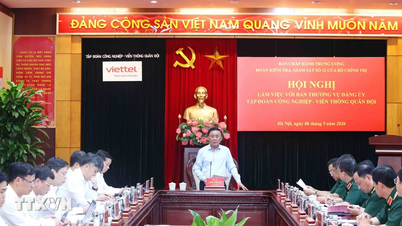 Inspectieteam nr. 12 werkt samen met het Permanent Comité van het Partijcomité van de Viettel Groep.