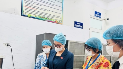 빈뚜이 지역의 수입 및 지출 관리와 학교 식당 운영을 감독합니다.