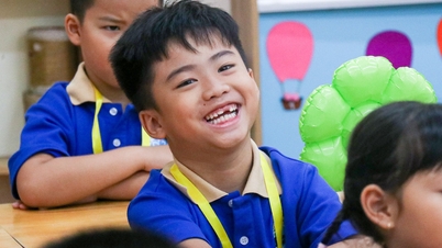 Details over de indeling van de leerlingen in schoolzones voor groep 1 en 6 in de wijken van Hanoi.