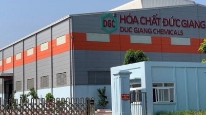 Hoá chất Đức Giang chạy đua đưa cổ phiếu ra khỏi diện cảnh báo