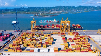 Legislating regulations on green ports and smart ports.