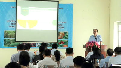ĐBSCL và vùng Đông Nam Bộ chuyển đổi mạnh mẽ sản xuất nông nghiệp sang mô hình bền vững từ vụ đông xuân 2025-2026