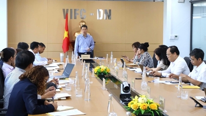 មជ្ឈមណ្ឌលហិរញ្ញវត្ថុអន្តរជាតិវៀតណាមនៅទីក្រុងដាណាំងត្រូវការអភិវឌ្ឍអត្តសញ្ញាណយីហោក្នុងពេលឆាប់ៗនេះ។