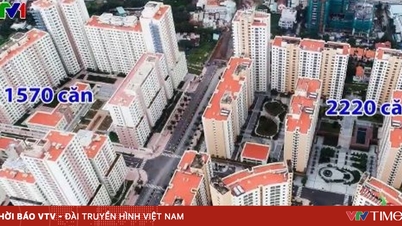 A cidade de Ho Chi Minh está acelerando o processo de leilão do terreno de Thu Thiem.