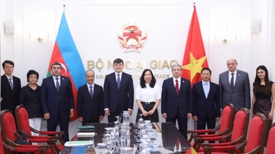Rafforzare la cooperazione tra Vietnam e Azerbaigian nel settore degli espatriati.