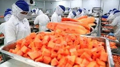 La Pologne mettra en œuvre une nouvelle réglementation sur l'étiquetage des produits alimentaires importés à partir de février 2026.