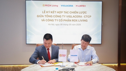 Viglacera та ROX Living підписали угоду про стратегічну співпрацю