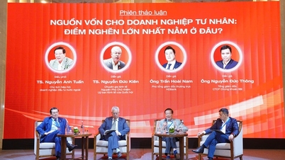 Tái cấu trúc dòng vốn cho kinh tế tư nhân phát triển bền vững