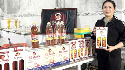 Розробка харчових продуктів OCOP: від стандартизації якості до розширення ринку.