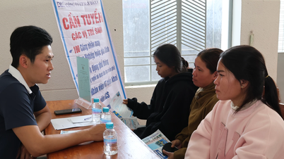 Đồng bào dân tộc thiểu số xã Bác Ái Đông: Thêm cơ hội có việc làm