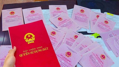 Стоимость получения свидетельства о праве собственности на землю в соответствии с Законом о земле 2024 года: какая сумма является самой высокой и каков новый механизм расчета?