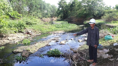 Xử lý dứt điểm về tình trạng ô nhiễm môi trường nghiêm trọng tại kênh Chìm Sơn Tịnh