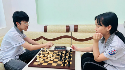Nhu Y - Tam Nhu and her passion for chess