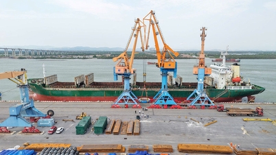 Hoang Dieu Chua Ve Port, in coordination with Dinh Vu Port, successfully handled an oversized and overweight cargo shipment.
