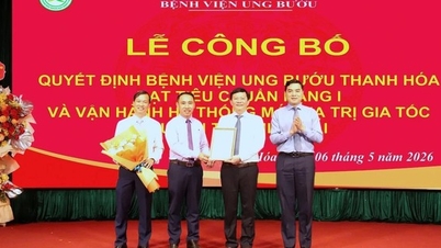 Thanh Hoa Provincial Oncology Hospital has been announced as meeting Grade I standards.