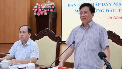 An Giang omawia roczną reorganizację jednostek administracyjnych i funkcjonowanie dwupoziomowego samorządu lokalnego.