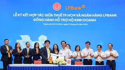LPBank برای حمایت از کسب و کارهای خانگی و کارآفرینان انفرادی در تحول دیجیتال، با اداره مالیات شهر هوشی مین قرارداد همکاری امضا کرد.