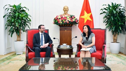 Thứ trưởng Ngoại giao Lê Thị Thu Hằng tiếp Đại sứ Vương quốc Anh và Bắc Ireland Iain Frew