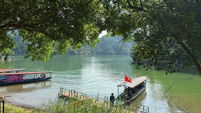 थाई गुयेन 'लेक ऑन द माउंटेन - टी इन द क्लाउड्स' के साथ पर्यटन की एक नई धुरी को आकार दे रहे हैं।