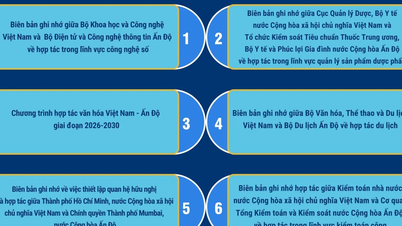 Các văn kiện hợp tác giữa Việt Nam-Ấn Độ
