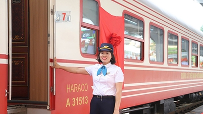บริษัทรถไฟ Hoa Phuong Do เสนอตั๋วราคาพิเศษสำหรับเส้นทางฮานอย - ไฮฟอง