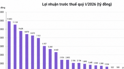 Đằng sau mùa lợi nhuận rực rỡ của các ngân hàng
