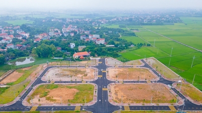 Nghe An: Zlepšení kvality a efektivity aukcí aktiv.