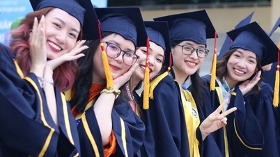 어떤 전공과 대학에서 등록금 없이 교육을 받을 수 있나요?