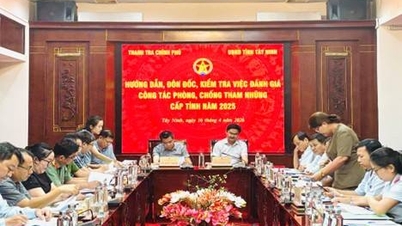 The Task Force of the Government Inspectorate will guide, supervise, and inspect the evaluation of anti-corruption work at the provincial level in Tay Ninh in 2025.