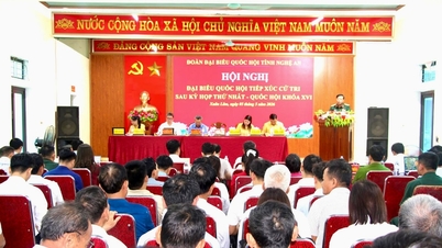Nghe An: Voters propose investment in the construction of Phuong Bridge, creating momentum for development in the Lam River riverside area.