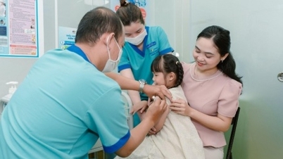 Pneumococcal bacteria cause more than 1.6 million deaths globally.