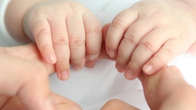 Die Regierung hat drei Richtlinien des geänderten Adoptionsgesetzes genehmigt.