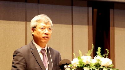 Da Nang apuesta por la innovación, el crecimiento verde y la conectividad internacional.