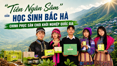 A Bac Ha-i középiskolás diákok "Tien Ngan Sam" című alkotása megnyerte az országos startup versenyt.
