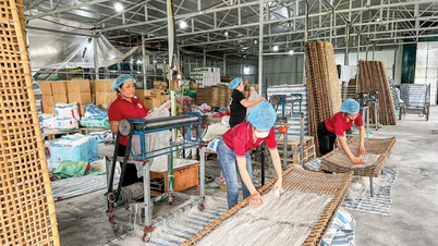 Обсяг кредитування за програмою зріс майже на 10%, і понад 951 000 бідних домогосподарств отримали позики.