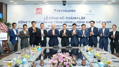 Lancement de la société par actions Vietnam Green Energy Infrastructure (VGX)