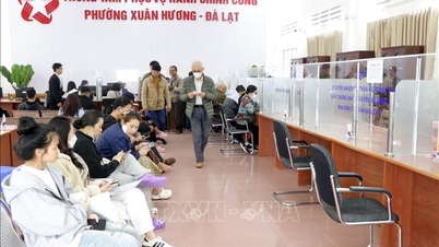 অভিযোগ ও নিন্দার নিষ্পত্তি করা এবং পূর্বে পদে অধিষ্ঠিত দলীয় সদস্যদের বিরুদ্ধে শাস্তিমূলক ব্যবস্থা বিবেচনা ও বাস্তবায়ন করা।
