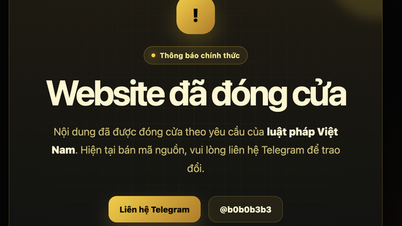 Нелегальні вебсайти з фільмами Cò TV, Phim4k.xyz, Thìa Phim тощо офіційно закрилися.