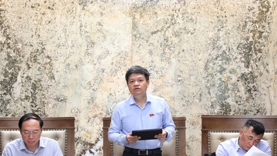 Echipa de studiu a Comitetului pentru Știință, Tehnologie și Mediu a colaborat cu Corporația Națională pentru Energie și Industrie din Vietnam.