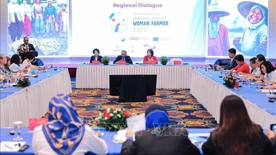 2026年国際女性農業年：協同組合が女性の経済発展のための機会を拡大する。