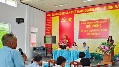Die Wähler in der Gemeinde Son My äußerten zahlreiche Bedenken hinsichtlich Entschädigung und Umsiedlung.