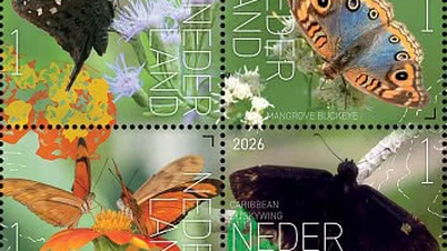 កាសែត Netherlands Post បន្តណែនាំស៊េរីតែមប្រៃសណីយ៍បទពិសោធន៍ធម្មជាតិរបស់ខ្លួន - មេអំបៅនៅលើកោះ Saba។