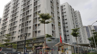 Onze novos procedimentos administrativos no setor habitacional estão prestes a ser implementados.