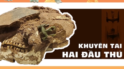 Giồng Cá Vồ প্রত্নতাত্ত্বিক স্থানে প্রাপ্ত অনন্য দ্বি-মস্তকবিশিষ্ট পশুর কানের দুলের রহস্যোদ্ঘাটন।