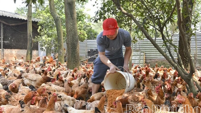 제1부: 지속가능한 발전을 위한 견고한 토대