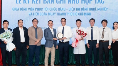 Der Muay-Thai-Verband von Ho-Chi-Minh-Stadt arbeitet mit einer Rehabilitationsklinik zusammen, um den Standard der Athletenbetreuung zu verbessern.