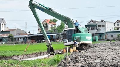 Trung Kênh hồi sinh một vùng ruộng bỏ hoang
