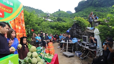 Lạng Sơn: Khi nông dân lên sóng livestream